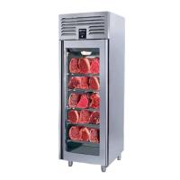 Iceinox DAG 610 B Dry Aged Buzdolabı, 1 Kapılı