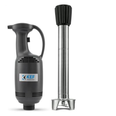 KEF BL40 L50 Profesyonel El Blender