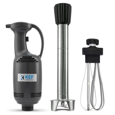 KEF BL40 L60-C Profesyonel El Blender