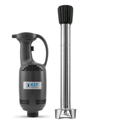 KEF BL40 L60 Profesyonel El Blender