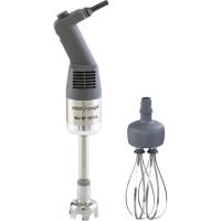 Robot Coupe Mini MP 190 Combi El Mikseri