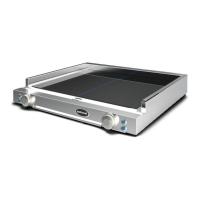 UNOX Spidoflat Izgara Düz Yüzey Çiftli (SP300)