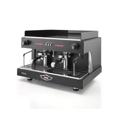 WEGA PEGASO EPU 3 Espresso Kahve Makinesi